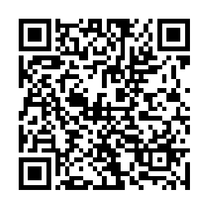 这场面看起来就象是一大群蚊子在疯狂进攻一个人二维码生成