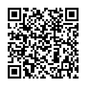 这块九龙玄关的效果甚至可以将一座城市笼罩在内二维码生成