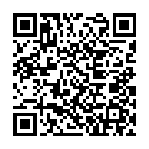 这块玻璃碎片钉进到了尸虫头顶正上方的天花板里二维码生成