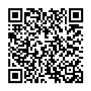 这块禁地是城主府内唯一一块没有守卫巡逻的区域二维码生成
