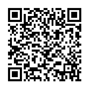 这块竖立在望阴镇内里的石碑此刻却是已经倒下二维码生成