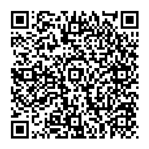 这壮观的场面据断风流所说只有当年的五大域围攻千邪教以及五大域之间的战争时才有过如此场面二维码生成