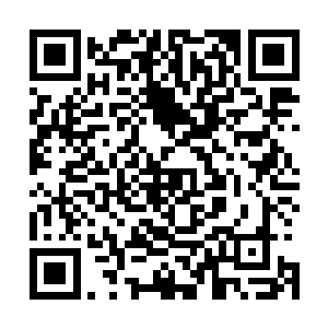 这声音把除了还在斗法中的人外的所有人目光都吸引了过来二维码生成