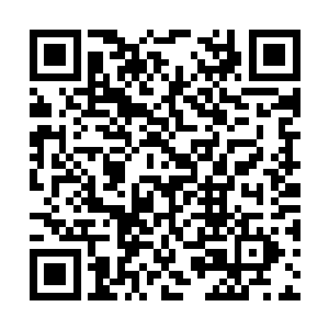 这处山谷究竟有多高啊……苏落在心中打了个寒颤二维码生成