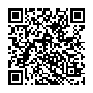 这处废墟应该是上面覆盖的黄沙被沙暴吹走了的缘故二维码生成