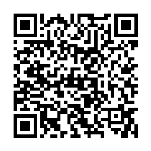 这外面的古老印记内记载的东西虽然品级不是很高二维码生成