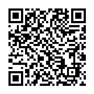 这多出来的几百人的基本生活需求总算是勉强能供应了二维码生成