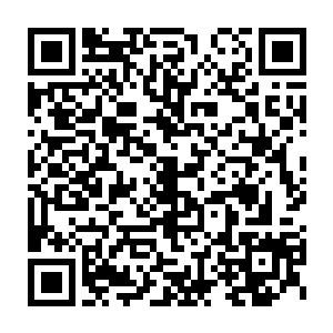 这多半是擦去手脚了……看来她早有些预感这遗忘之地会重新启用二维码生成