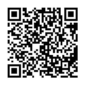 这大名鼎鼎的修复丹被装在一个看起来极其普通的白瓷瓶子里二维码生成