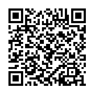 这大小乔就一左一右的环绕在白破局的身体两侧二维码生成
