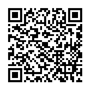 这大意识就是使得外部不能通过民主来干预自己内政二维码生成