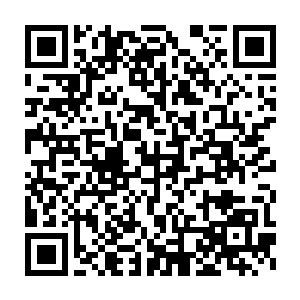 这大蛇真是之前杨晨和赵羽在绿水村西山上所遇到的那种变异竹叶青蛇二维码生成