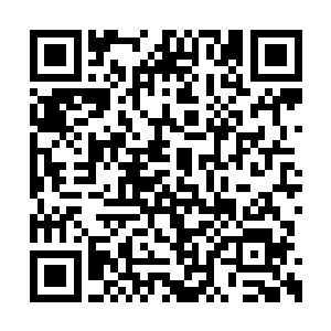 这大阵乃是利用十二把生肖图案的长剑作为阵眼二维码生成