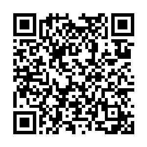 这大顺的九皇子和御王妃对于天雷似乎十分的抗拒二维码生成