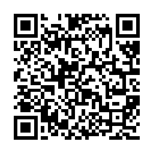 这大鳄龟的捕食技巧把洪大力等人全都给震住了二维码生成