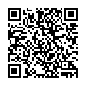 这天宫洞府的开启对于整个天海南部都算是一件大盛事二维码生成