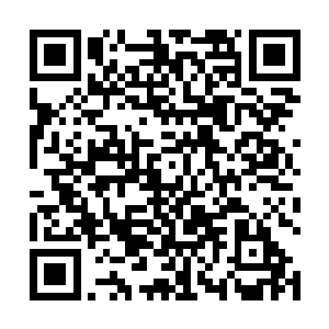 这天资可是比起咱们上三殿那些个拔尖的都要优越一些二维码生成