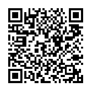 这天门的门主就算攻击在自己身上也不应该起作用才对二维码生成
