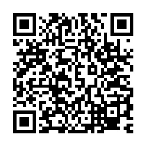 这太后竟然起了这般狠毒的念头……这太后一直和兴王不是母子二维码生成