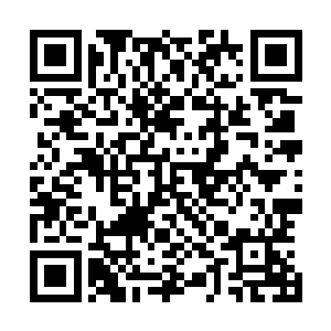 这头与他相容的赤螭本就是与神兽只有一步之遥的高阶仙兽二维码生成