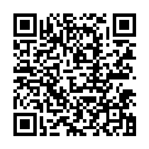 这头变异土狼在所有土狼里应该算是比较出色的一头了二维码生成