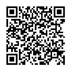 这头在山林中无敌的庞然大物的身躯竟是满身伤痕二维码生成