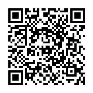 这头大野猪虽然未必赶得上当初宋青山击杀的那一头熊二维码生成