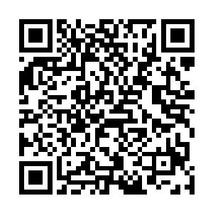 这头天仙阶的玄黄兽估计是五行山脉中火属性地域的霸主二维码生成