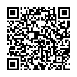 这头幼崽……该不会这么小就要提前进入亚成年状态了吧二维码生成