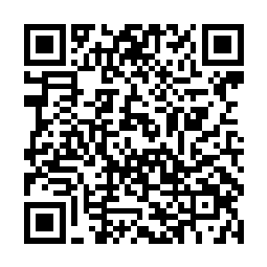 这头幼崽再强壮也无法抵抗长期暴露在太空中的伤害二维码生成