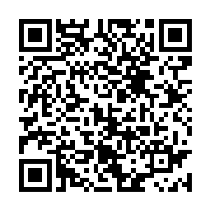 这头懵懵懂懂的小狮子毕竟才刚刚离开温暖的巢穴二维码生成