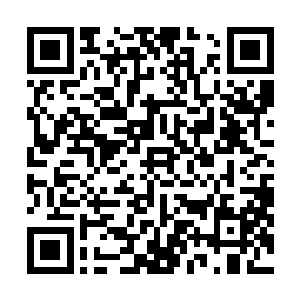 这头机关象更像是由妖界金属与妖蛮骸骨组装的钢铁巨兽二维码生成