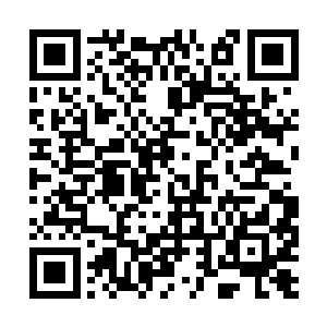 这头洞天守护神兽的实力最多只恢复到了灵级十阶二维码生成