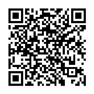 这头猴妖拦截他们夫妻的主因乃是想要得到两人完整的神魂二维码生成