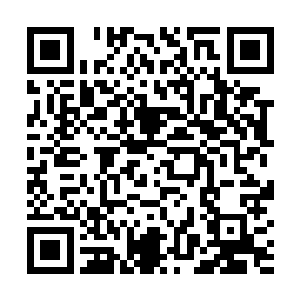 这头白蝙蝠随便一个脏器便能拥有堪比仙家福地的灵气二维码生成
