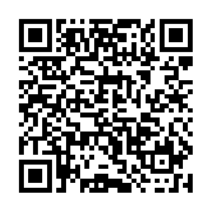 这头蛇形海兽就已经吞吃了三只成年斑马大小的海兽二维码生成