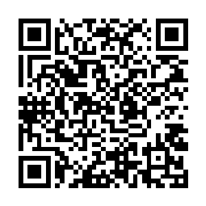 这头蛇怪牢牢被马文锁在了银线编制成的恐怖陷阱里二维码生成