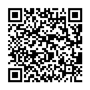 这头象妖将则右前腿迈步的幅度稍稍比其它腿大一些二维码生成