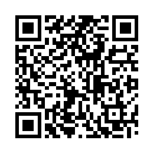 这头辽东飞禽最神俊者六年凤只是来回俯冲二维码生成