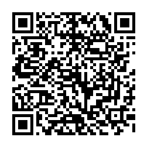 这头野草一般在外面散养长大的小啾居然是他找寻了多年企图恢复的王系血脉二维码生成