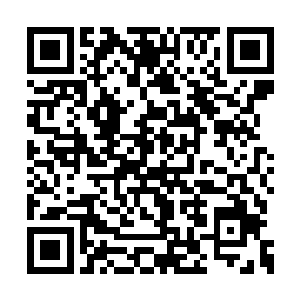 这头金乌是国师大人在一次域外探险时奇遇所得二维码生成