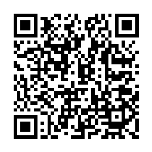 这头魃是剑神宗高手奉歌的尸体经过豢养而成的二维码生成