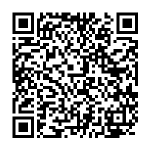 这奇怪又美丽到不像凡人的男子竟然一眼就能看出他身怀诅咒之力二维码生成