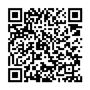 这套小五行战阵乃是当年火天尊游历万界时所得二维码生成