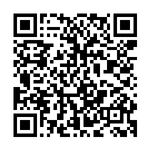 这套心法是配合之前若是选择了狗王的天命之力来搭配使用的二维码生成