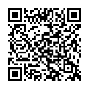 这套战甲叶楚原本是为了自己女儿准备了许久的二维码生成