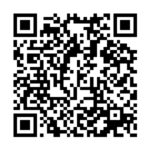 这套系统的掌控权便从我们手上正式交托给你了二维码生成