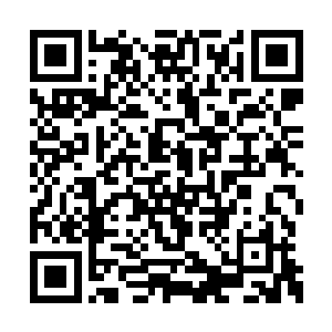 这套蛰龙眠神功根本就是他爷爷当年的独门绝技二维码生成