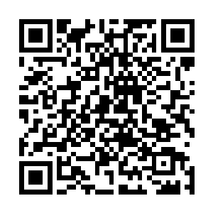 这女尸是因为有了这颗血珠里的一部分气息才得以所向披靡二维码生成