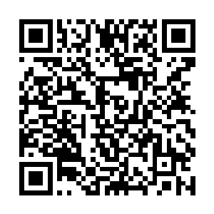 这好像还是自己第一次在试探别人修为时被察觉到吧二维码生成